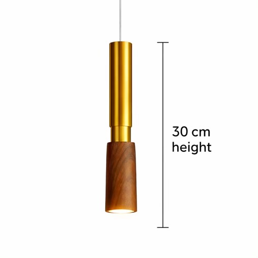 Modern Brass & Wooden Pendant Light