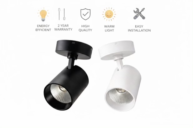 Adjustable LED Wall Spot Light