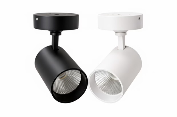 Adjustable LED Wall Spot Light