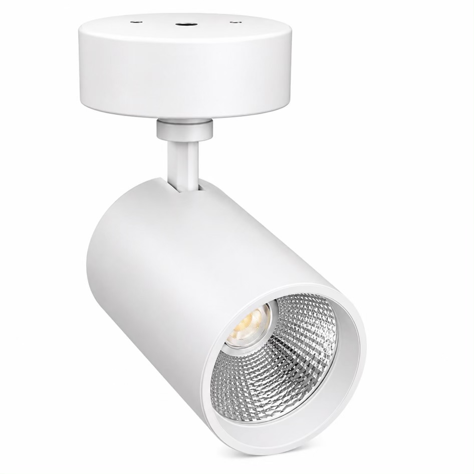 Adjustable LED Wall Spot Light 30w