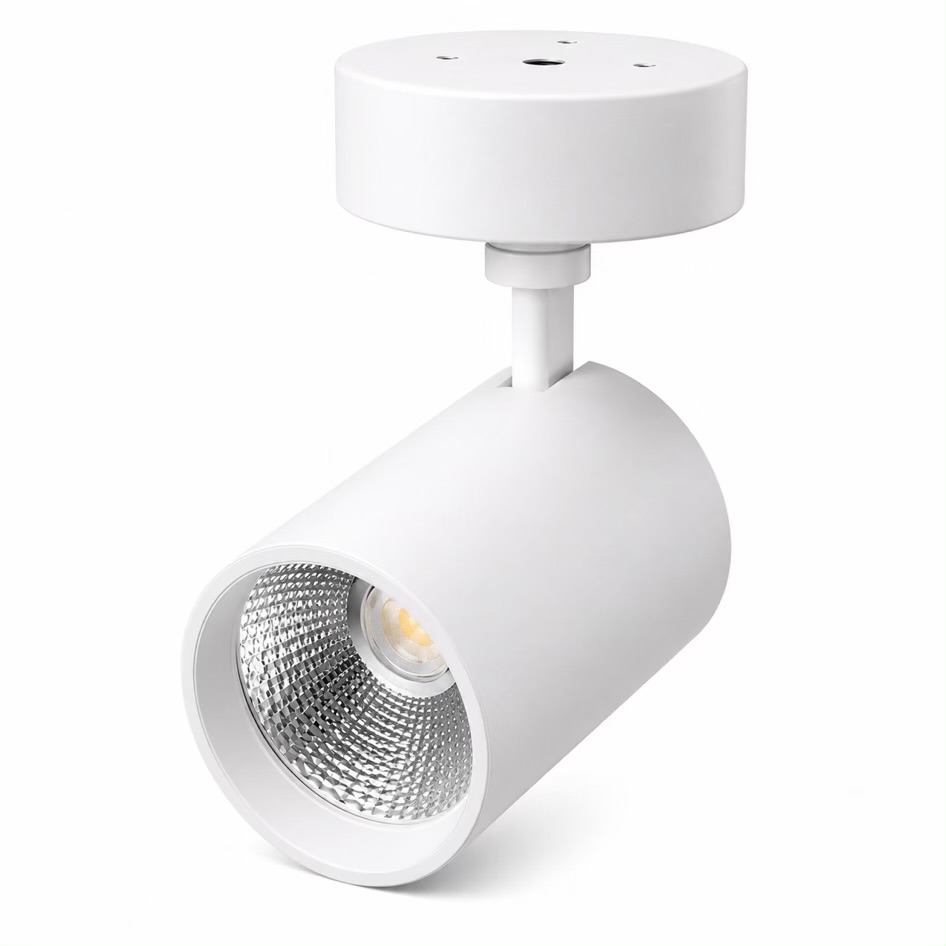 Adjustable LED Wall Spot Light 30w