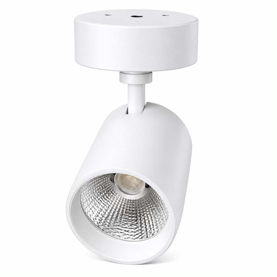 Adjustable LED Wall Spot Light 30w