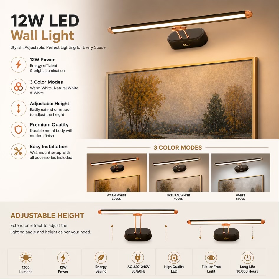 Black 3 Step Picture Mirror Light